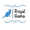 Royal Gama Persian, Himalayan, And Exotic Kittens